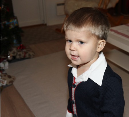 121224_ludvig